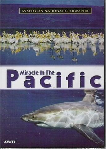 Miracle in the Pacific