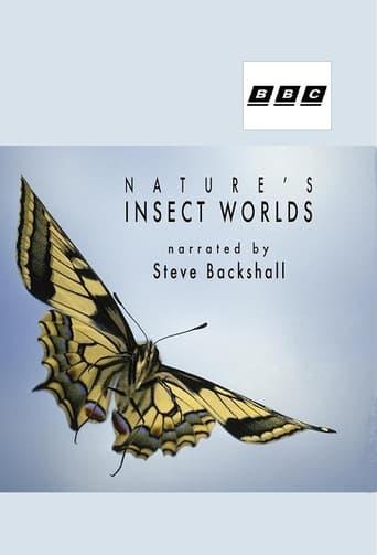 Insect Worlds