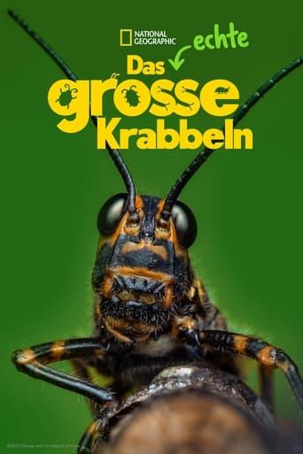 Das echte große Krabbeln