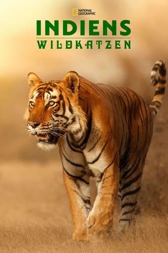 Wild Cats of India