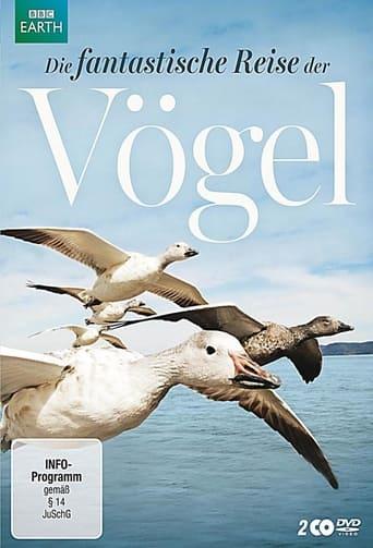 Die fantastische Reise der Vögel