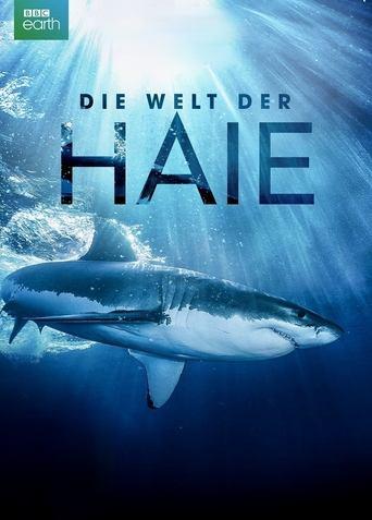 Die Welt der Haie