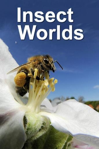 Insect Worlds