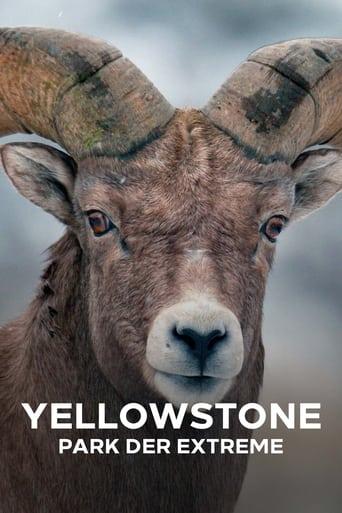 Epic Yellowstone