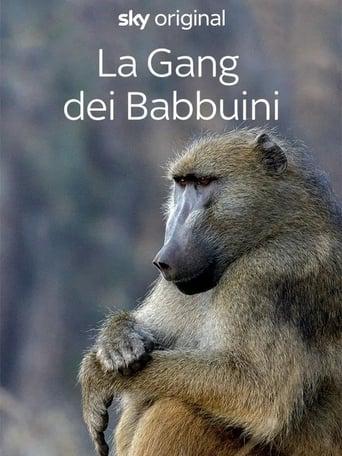 Gangs of Baboon falls