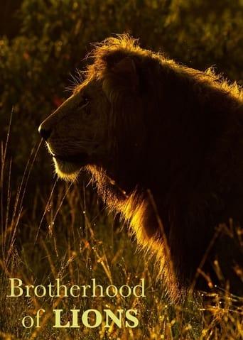 Brotherhood of Lions