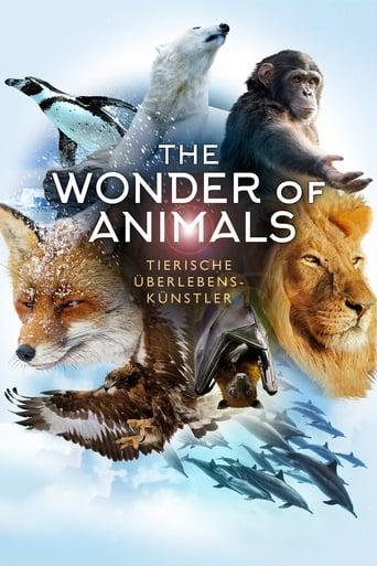 The Wonder of Animals - Tierische Überlebenskünstler