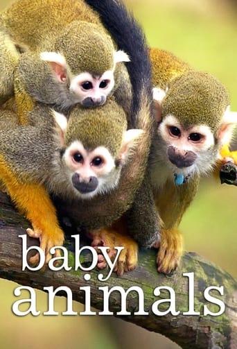 Tierbabys