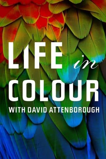 Das Leben in Farbe mit David Attenborough