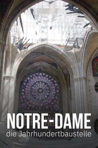 Notre-Dame, die Jahrhundertbaustelle