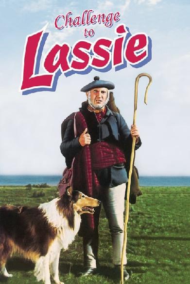 Lassie in Not