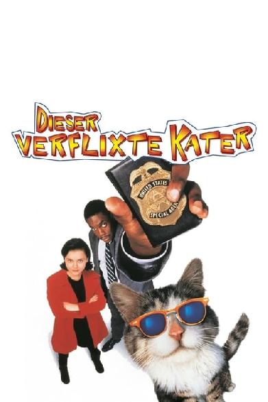 Dieser verflixte Kater