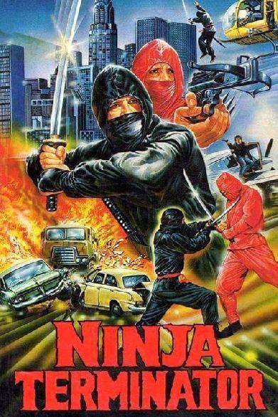 Ninja Terminator