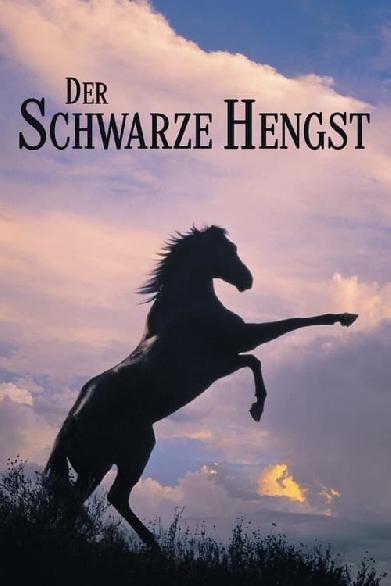 Der schwarze Hengst