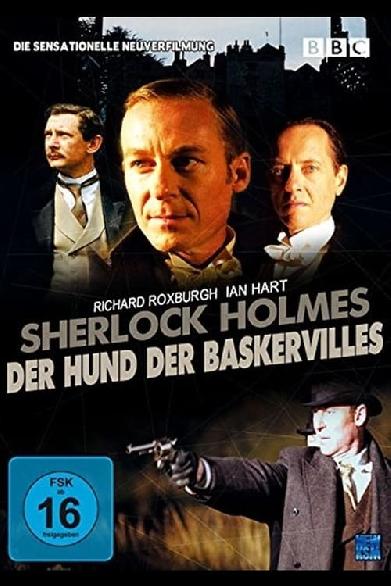 Der Hund der Baskervilles