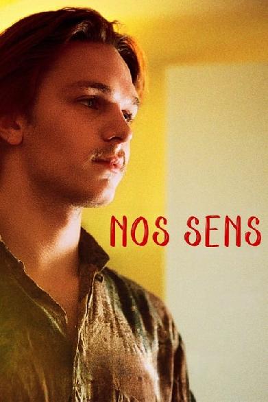 Nos sens