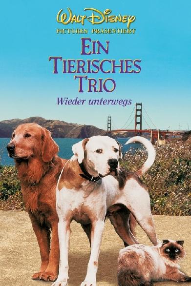 Ein tierisches Trio - Wieder unterwegs