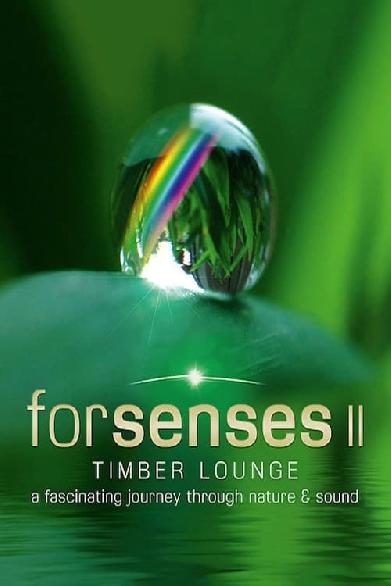 Forsenses II: Timber Lounge