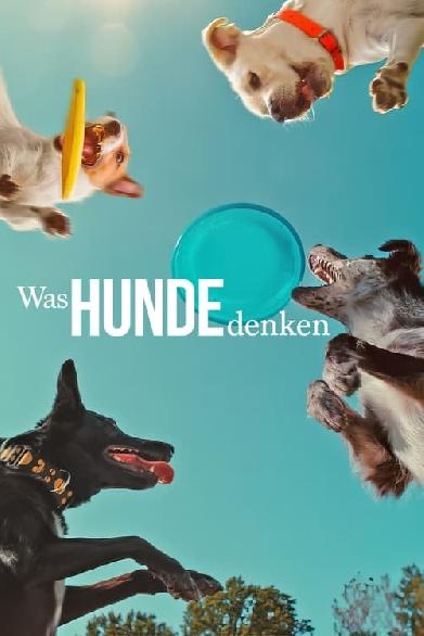 Was Hunde denken