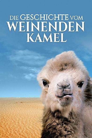 Die Geschichte vom weinenden Kamel