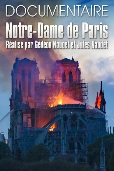 Notre-Dame de Paris des Frères Naudet