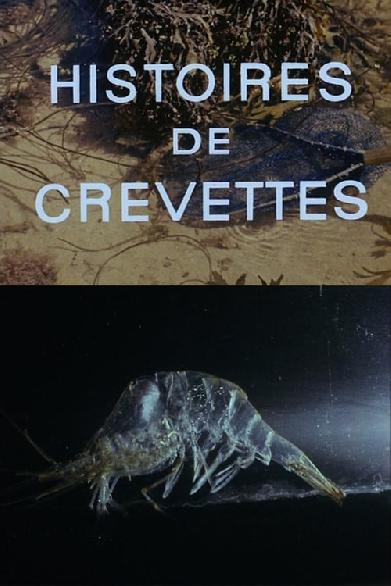 Histoires de crevettes