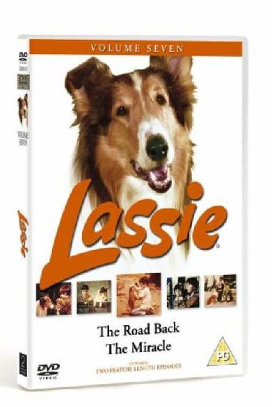 Lassie – Allein in der großen Stadt