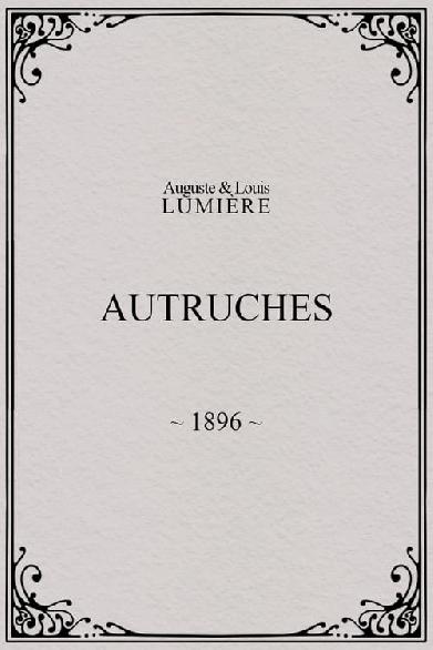 Autruches