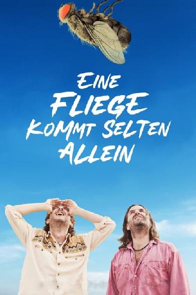 Eine Fliege kommt selten allein