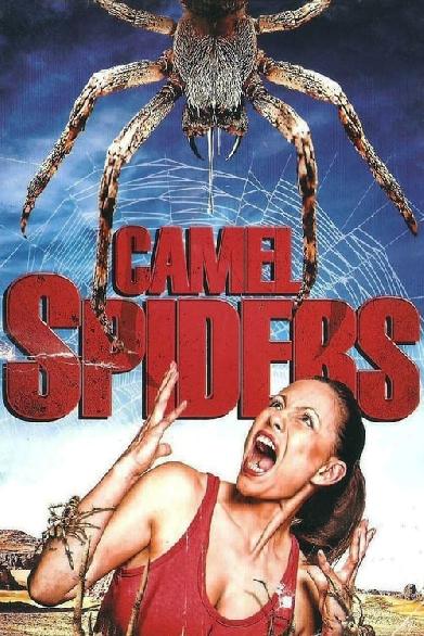 Camel Spiders - Angriff der Monsterspinnen