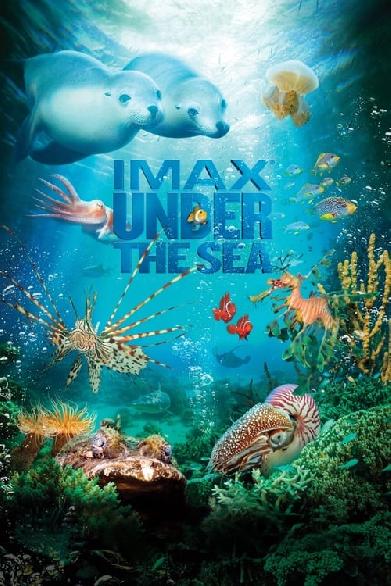 IMAX: Under The Sea 3D