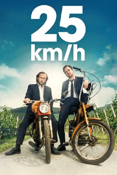 25 km/h