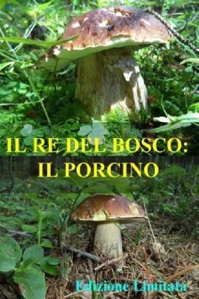 Il re del bosco: il porcino