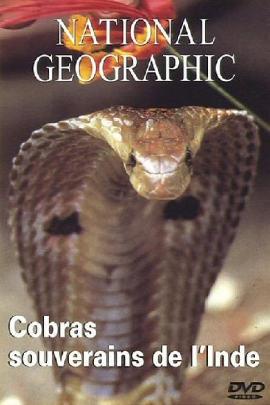 National Geographic : Cobras souverains de l'inde