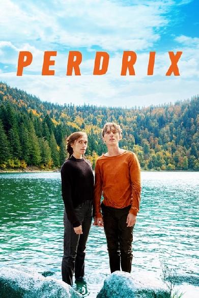 Perdrix