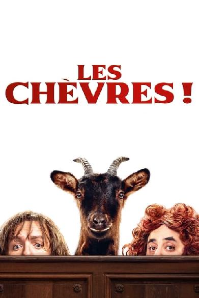 Les Chèvres !