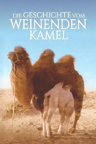 Die Geschichte vom weinenden Kamel