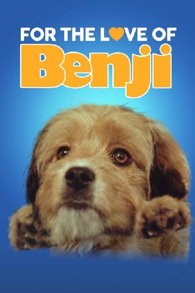 Benji in Gefahr