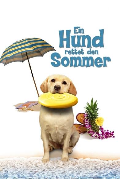 Ein Hund rettet den Sommer