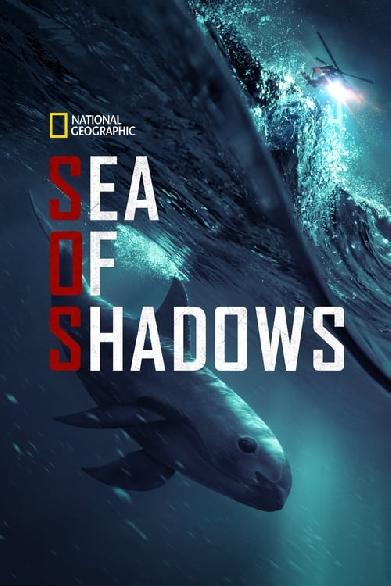 Sea of Shadows – Kampf um das Kokain des Meeres