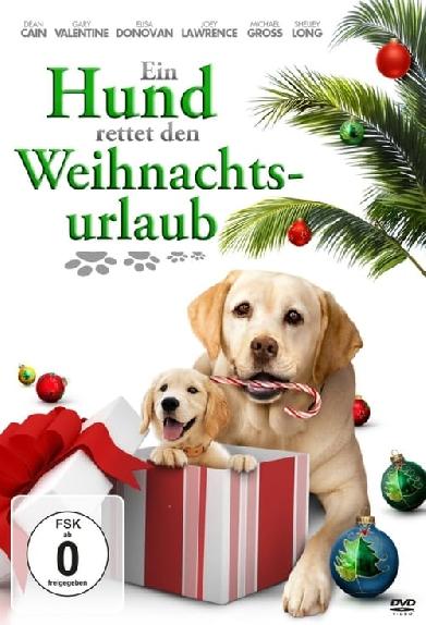 Ein Hund rettet den Weihnachtsurlaub