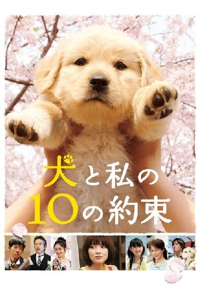 犬と私の10の約束