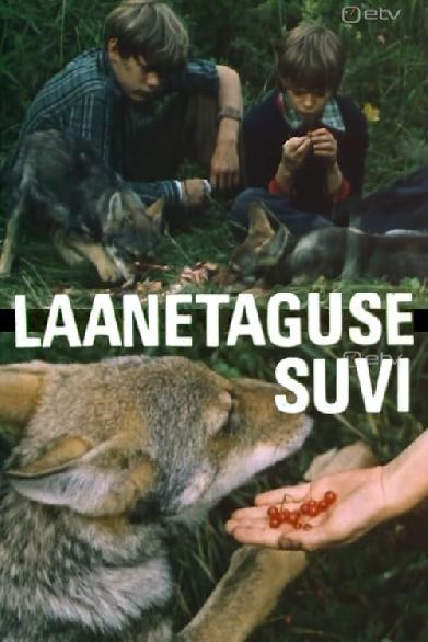 Laanetaguse suvi