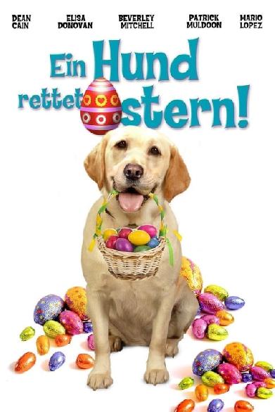 Ein Hund rettet Ostern