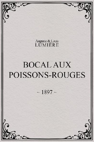 Bocal aux poissons rouges