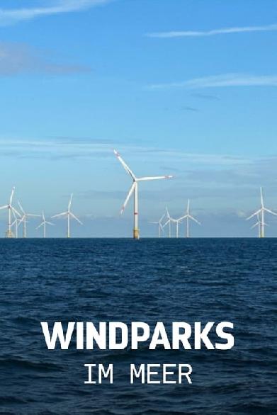 Windparks im Meer - Chance oder Risiko für die Natur?