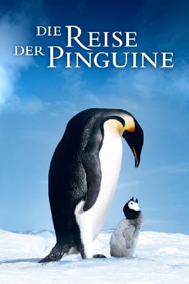 Die Reise der Pinguine