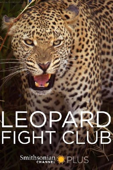 Leopard Fight Club