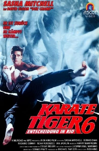 Karate Tiger 6 - Entscheidung in Rio