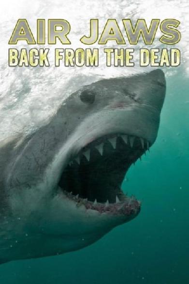 Air Jaws: Back from the Dead